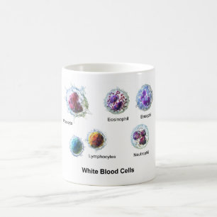 MUG White Blood Cells Leukocytes Diagram