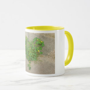 Mug with origina photo of heart shaped clover