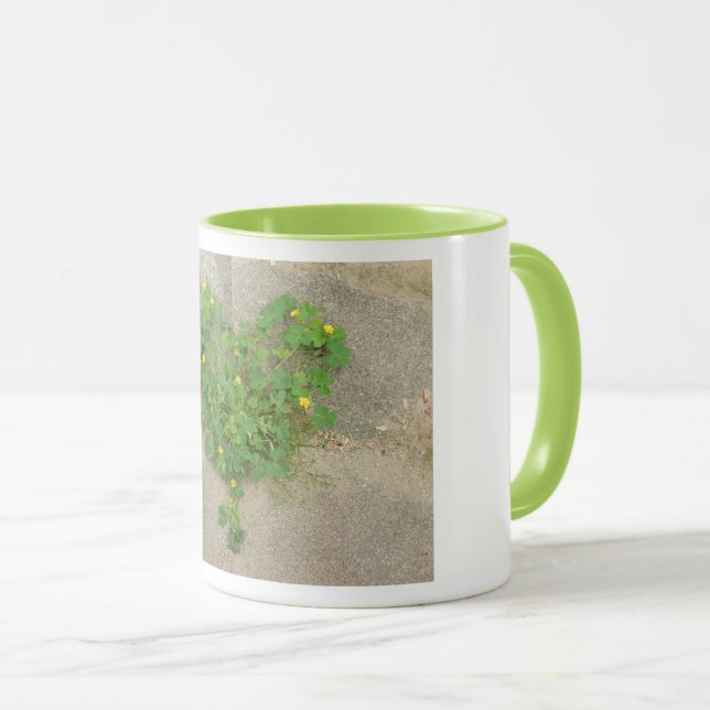 Mug with original photo of heart shaped clover (Front Right)