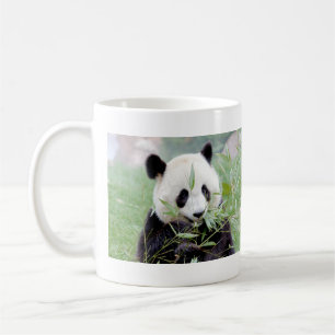 Mugs photo giant panda. Panda geant.