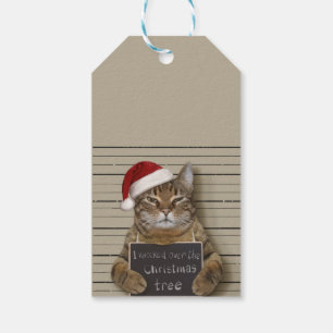 Mugshot Cat Christmas Gift Tags