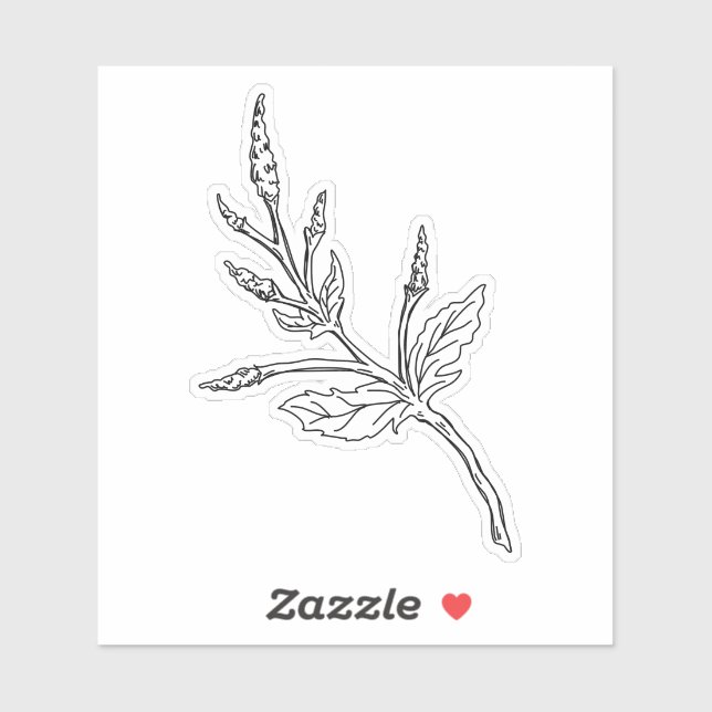 Mugwort Herb Sticker (Sheet)
