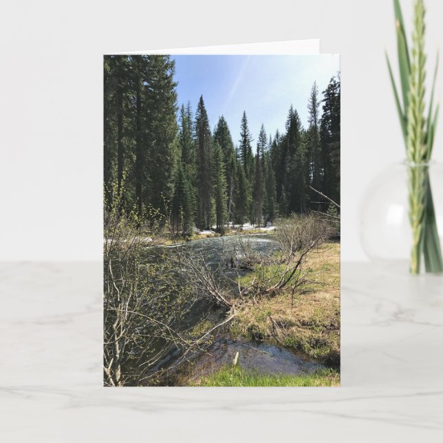 Muir Creek, Oregon Card (Front)