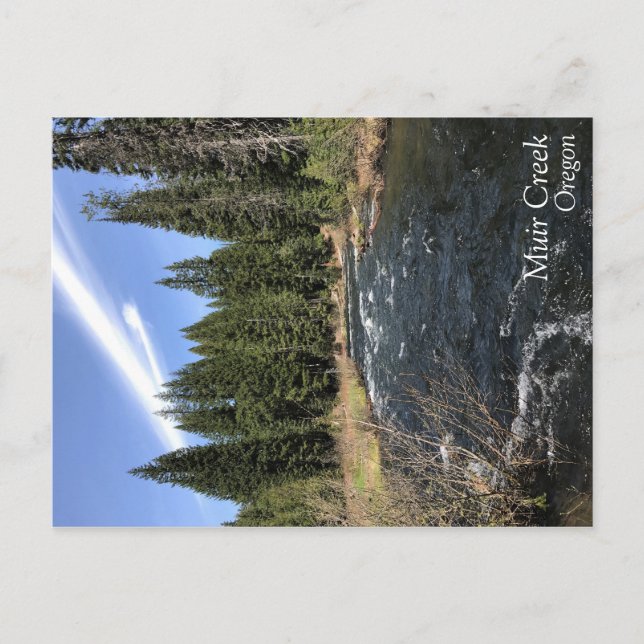 Muir Creek Postcard (Front)