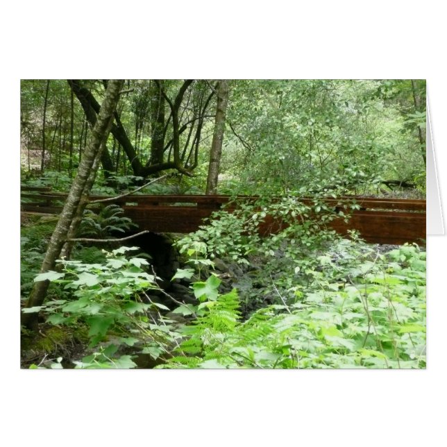 Muir Woods Bridge I (Front Horizontal)