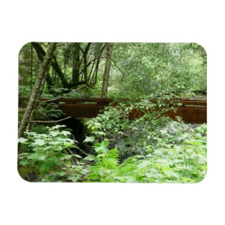 Muir Woods Bridge I Magnet