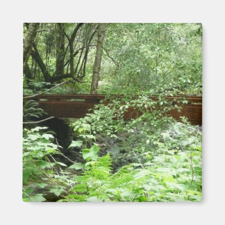 Muir Woods Bridge I Magnet