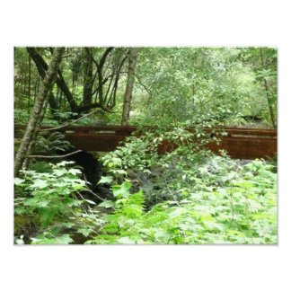 Muir Woods Bridge I Photo Print