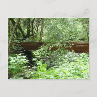 Muir Woods Bridge I Postcard