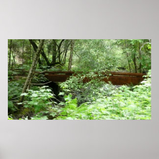 Muir Woods Bridge I Poster