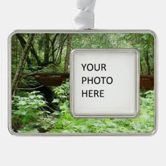 Muir Woods Bridge I Silver Plated Framed Ornament