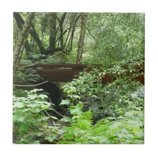 Muir Woods Bridge I Tile