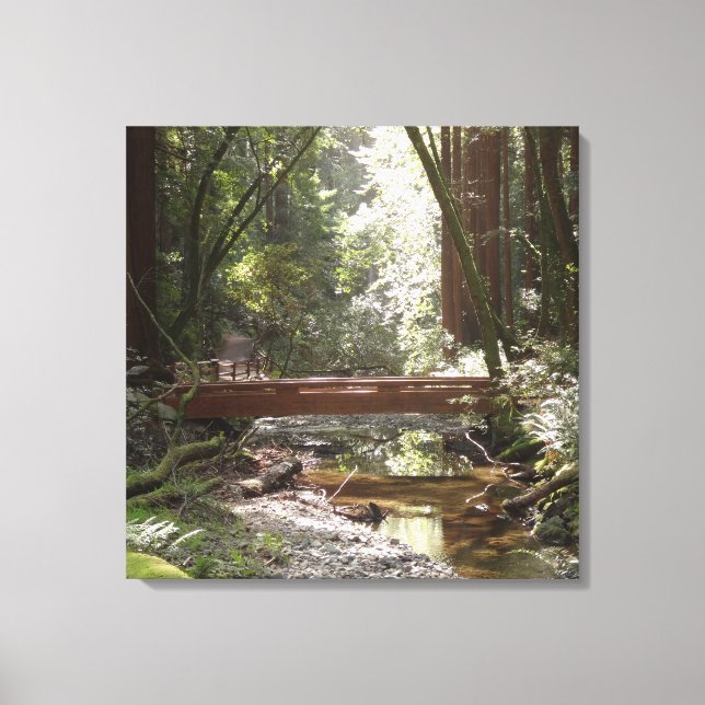 Muir Woods Bridge II Canvas Print (Front)