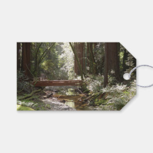Muir Woods Bridge II Gift Tags