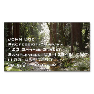 Muir Woods Bridge II Magnetic Business Card