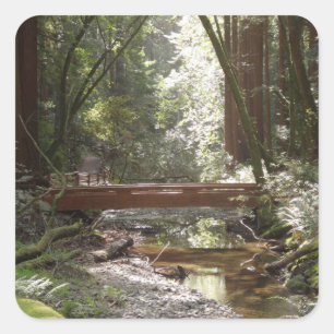 Muir Woods Bridge II Square Sticker