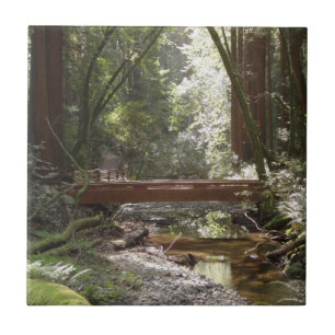 Muir Woods Bridge II Tile