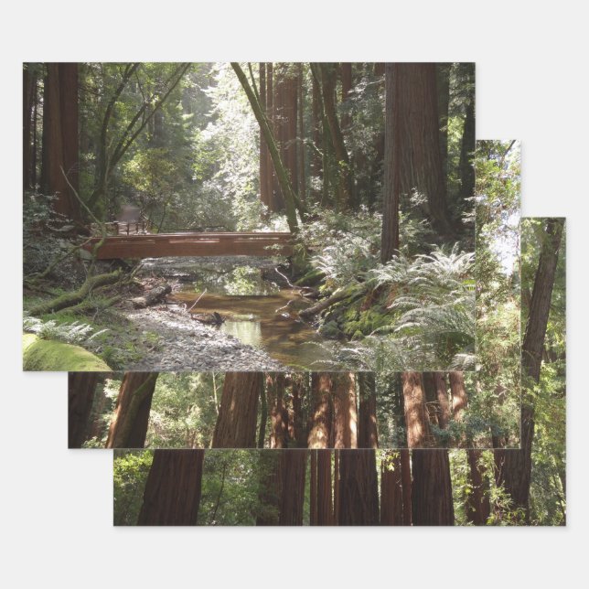 Muir Woods Bridge II Wrapping Paper Sheet (Set)