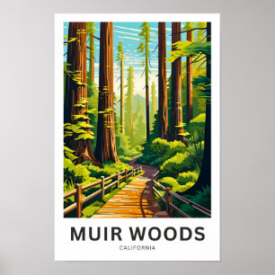 Muir Woods California Travel Print