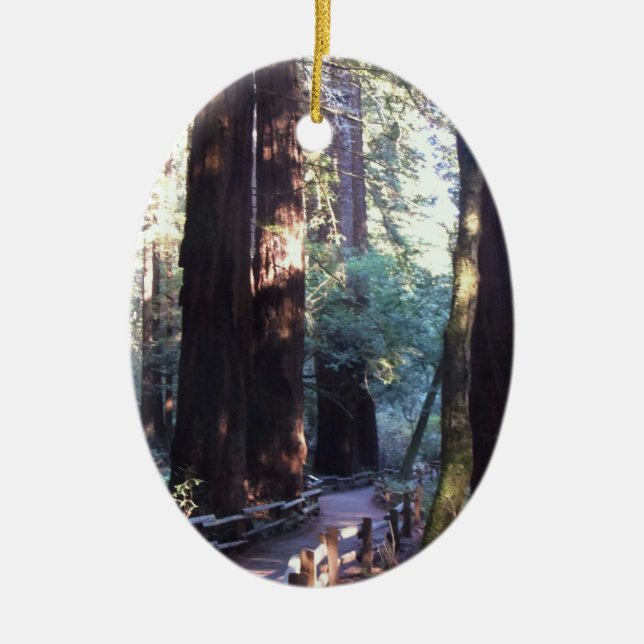 Muir Woods Ceramic Tree Decoration (Front)