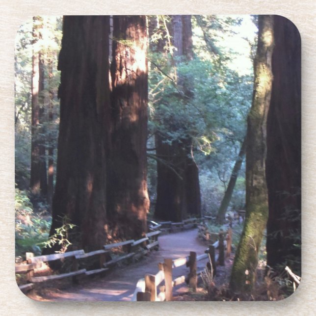 Muir Woods Coaster (Front)