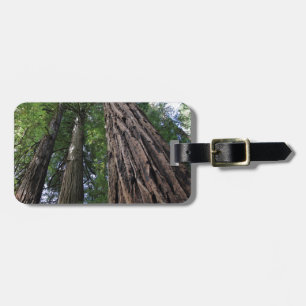 Muir Woods Luggage Tag