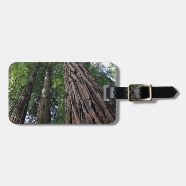 Muir Woods Luggage Tag (Front Horizontal)