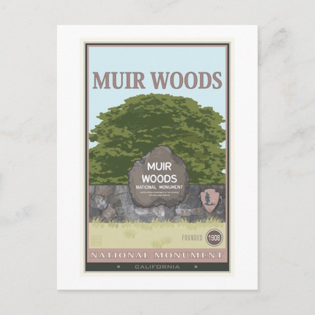 Muir Woods National Monument 2 Postcard (Front)