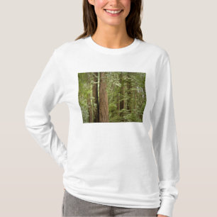Muir Woods National Monument, Northern T-Shirt
