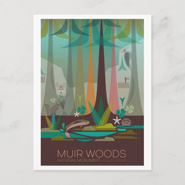 Muir Woods National Monument Postcard (Front)