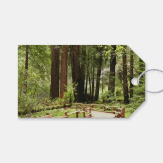 Muir Woods Path I Nature Photography Gift Tags