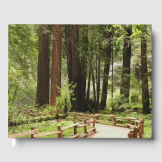 Muir Woods Path I Nature Photography Guest Book