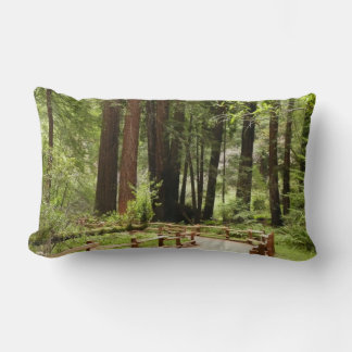 Muir Woods Path I Nature Photography Lumbar Cushion