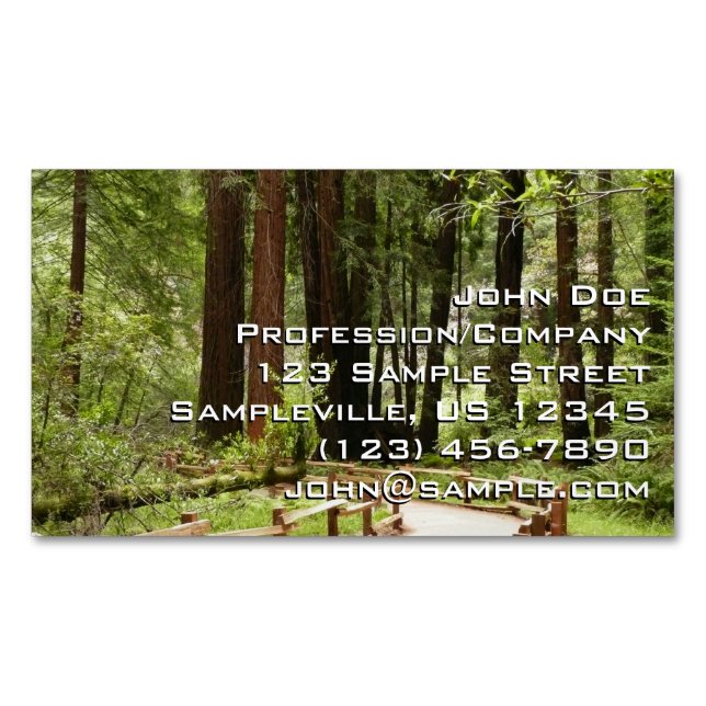 Muir Woods Path I Nature Photography Magnetic Business Card (Front)