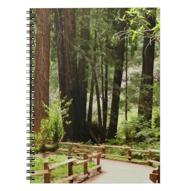 Muir Woods Path I Nature Photography Notebook (Front)