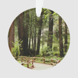 Muir Woods Path I Nature Photography Ornament