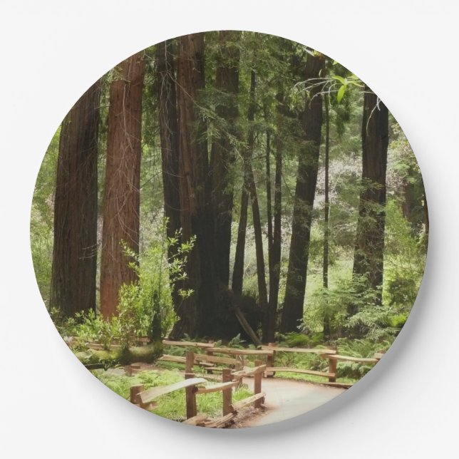Muir Woods Path I Nature Photography Paper Plate (Front)
