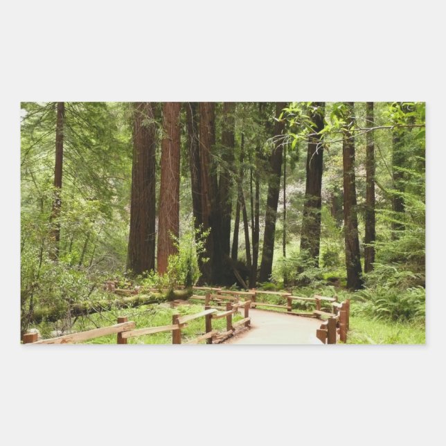 Muir Woods Path I Nature Photography Rectangular Sticker (Front)