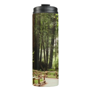 Muir Woods Path I Nature Photography Thermal Tumbler