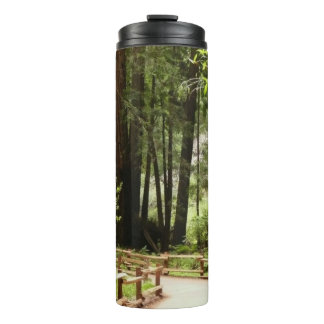 Muir Woods Path I Nature Photography Thermal Tumbler