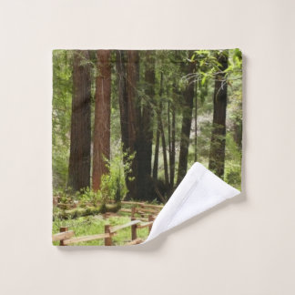 Muir Woods Path I Nature Photography Wash Cloth