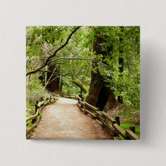 Muir Woods Path II Nature Photography 15 Cm Square Badge