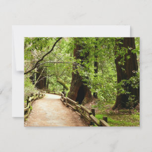 Muir Woods Path II Nature Photography Card