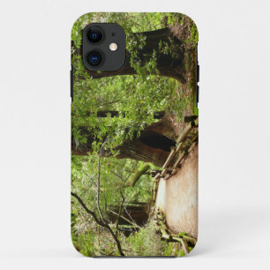Muir Woods Path II Nature Photography Case-Mate iPhone Case