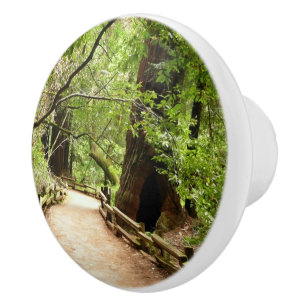 Muir Woods Path II Nature Photography Ceramic Knob