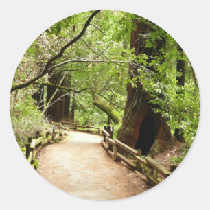 Muir Woods Path II Nature Photography Classic Round Sticker