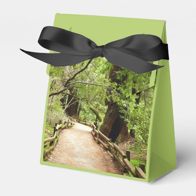 Muir Woods Path II Nature Photography Favour Box (Front Side)
