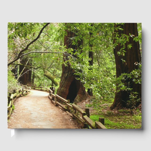 Muir Woods Path II Nature Photography Guest Book (Front)
