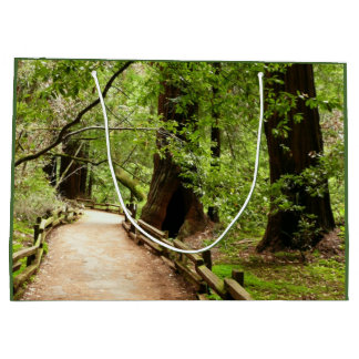 Muir Woods Path II Nature Photography Large Gift Bag