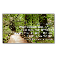 Muir Woods Path II Nature Photography